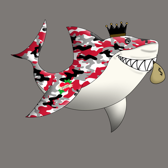 Wavy Shark #4890