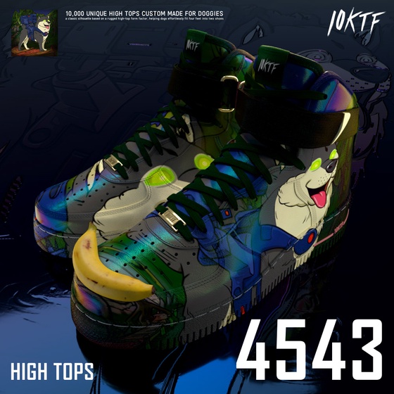 BAKC High Tops #4543