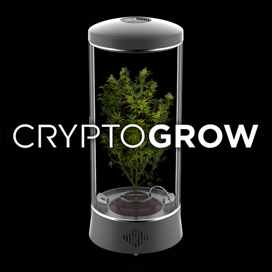 CryptoGrow Burn #68