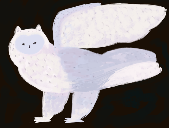 Owl