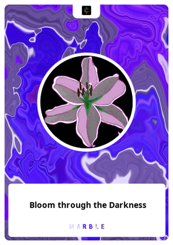 Bloom through the Darkness