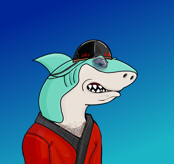 SewerShark #1466