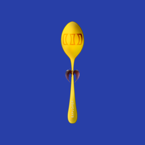 Concave Spoon #3510