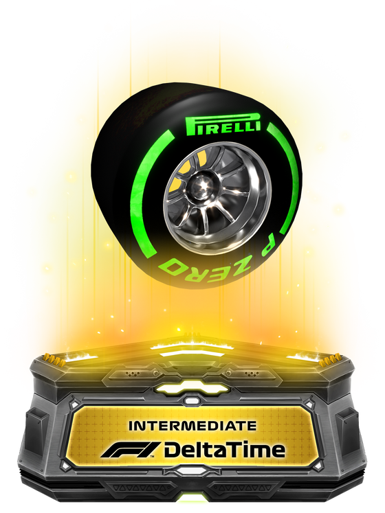 Intermediate Tyres