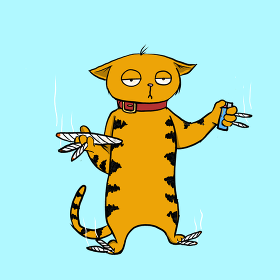 Blazed Cat #4419