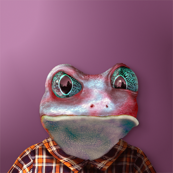 Notorious Frog #1656