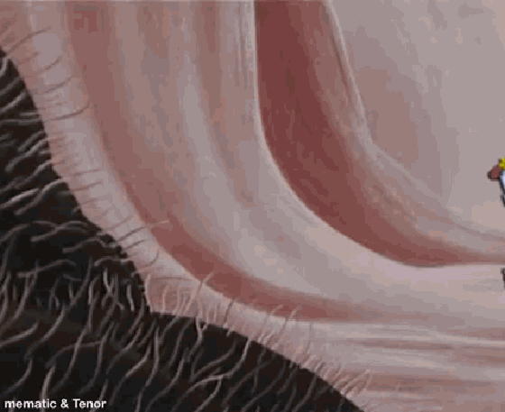 Gifs by Guts #4