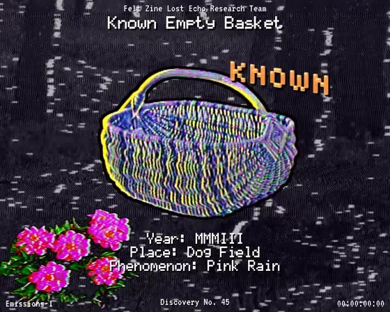 #45 | Known Empty Basket