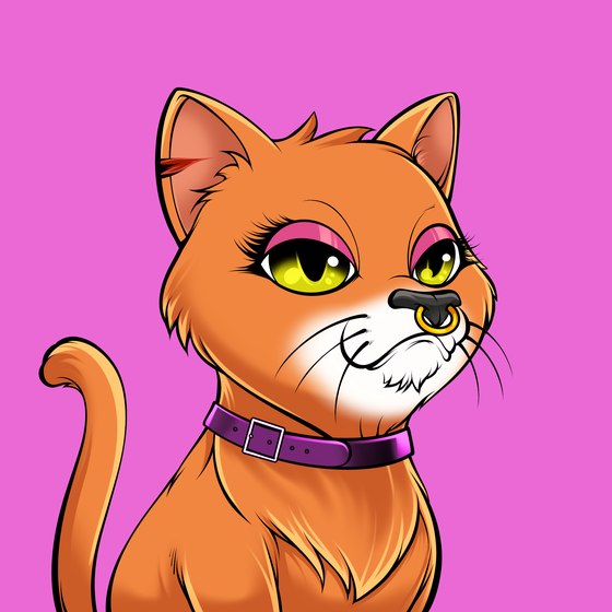 Cat #820