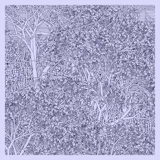 Entangled #162