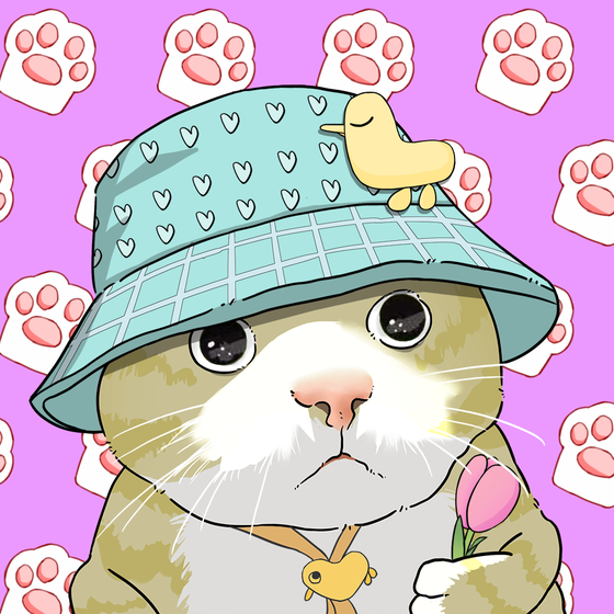Puzzled cat #1275