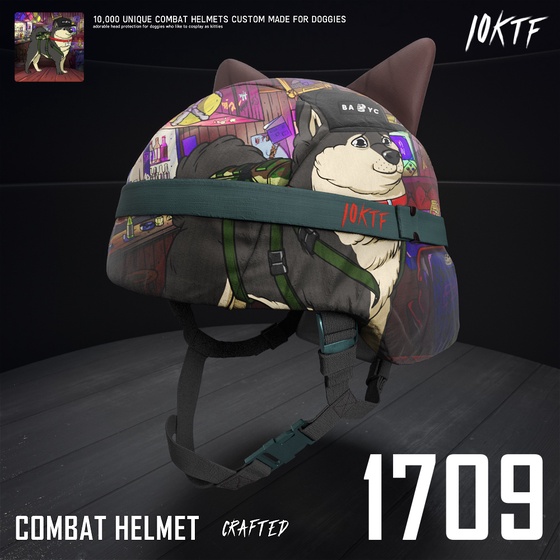 Kennel Combat Helmet #1709