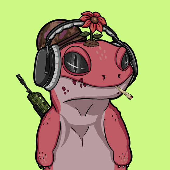 TUKO #0589