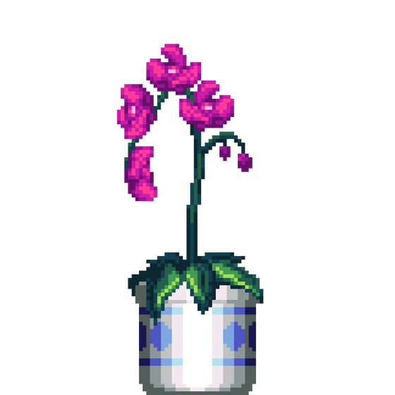 Purple Orchid in Large Pattern pot