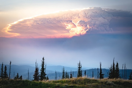 Pyro-Cumulonimbus by Dave Markel