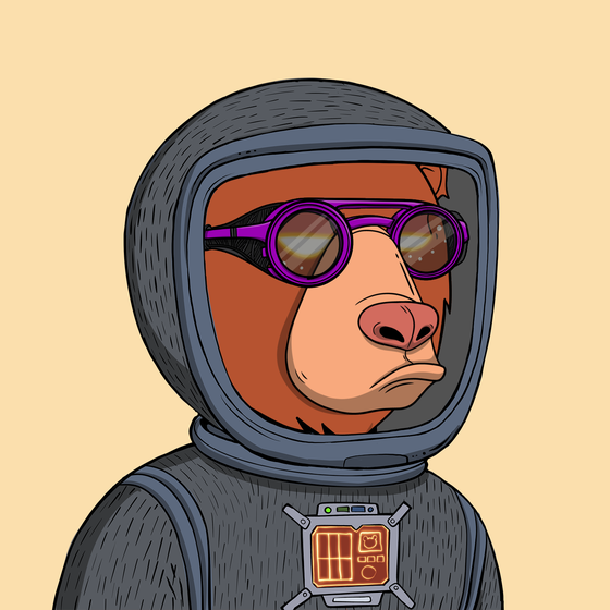 Okay Space Bear #1619