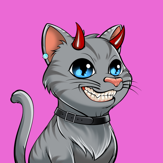 Cat #2077