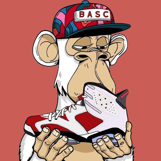 Bored Ape Sneakers Collection #13