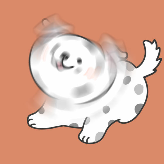 DogDrill#908