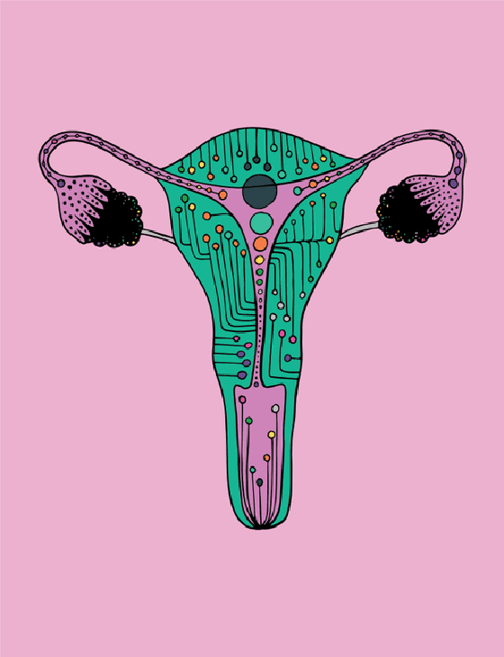 Uterus #73