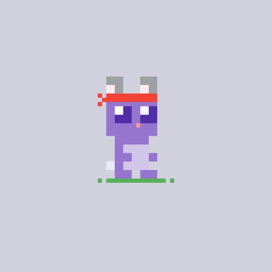 tiny rabbit #686