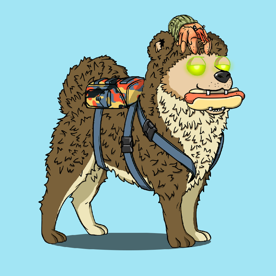 y00ts Canine Club #2085
