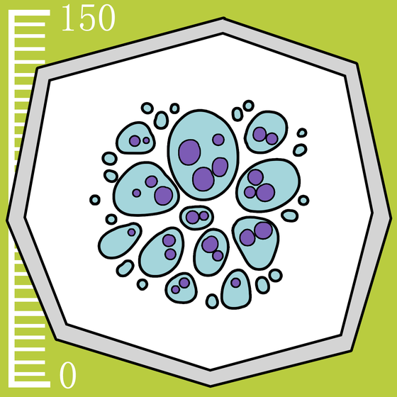 141