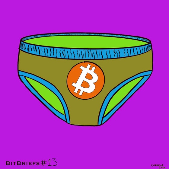 BitBriefs #13