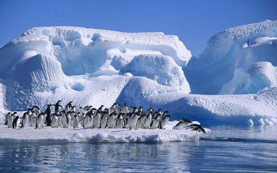 Antarctic