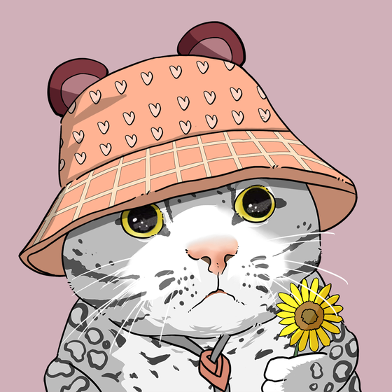 Puzzled cat #2875