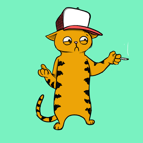 Blazed Cat #277