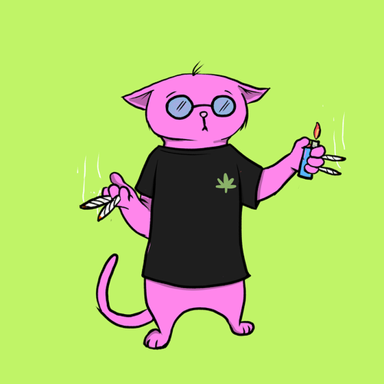 Blazed Cat #2617