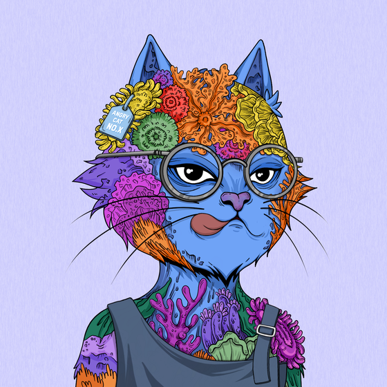Angry Cat #4970