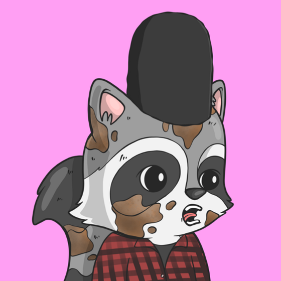 LookAtMyRaccoon #988