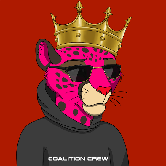 Coalition Crew 2.0 #243