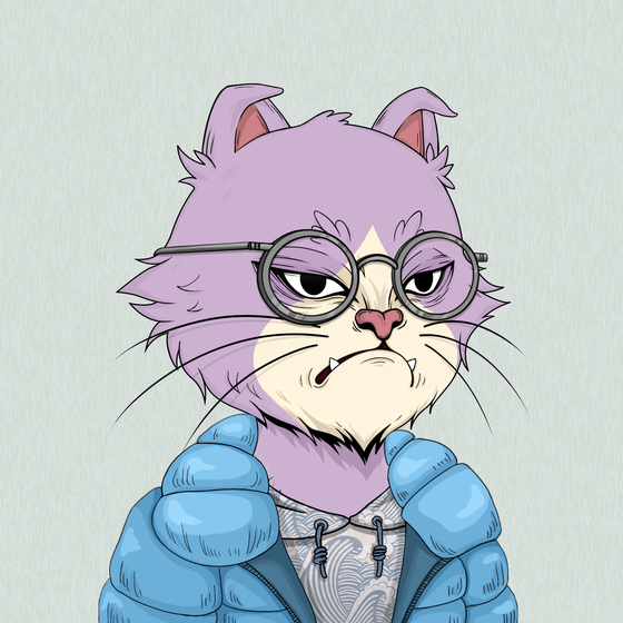 Angry Cat #5365