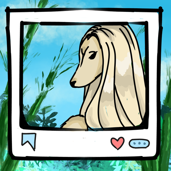 旅する犬 #720
