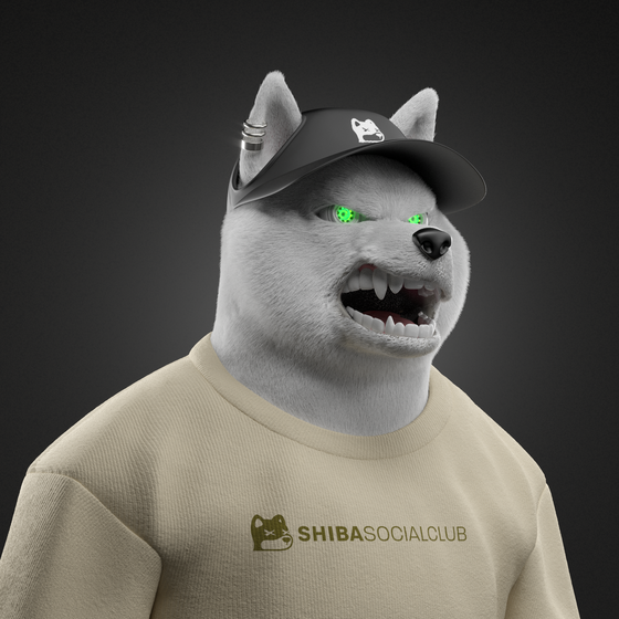 Shiba #6101