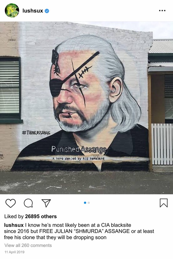 Lushsux #3449 - Mural Juline Assange