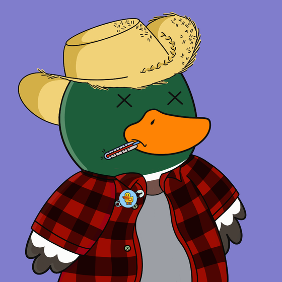 CyberDucks Evolution #2013