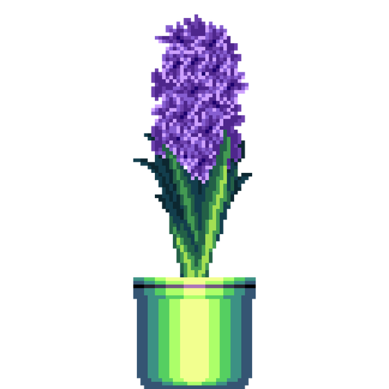 Purple Hyacinth in Large Pinstripe pot