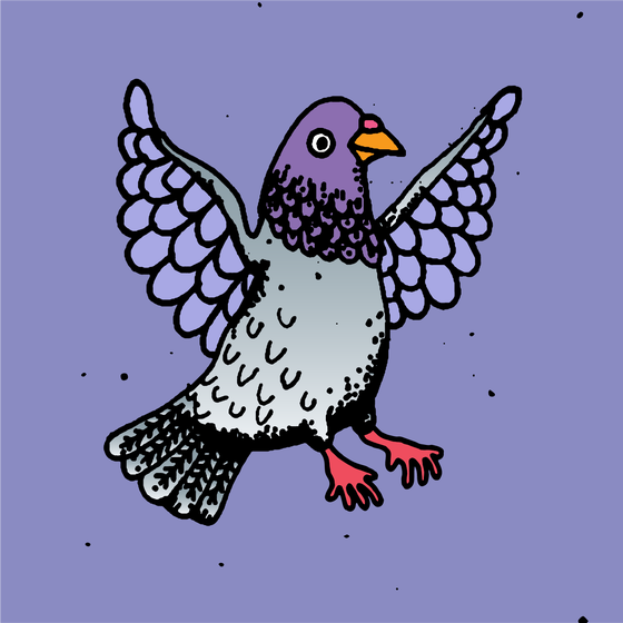 Hood Pigeon #2284