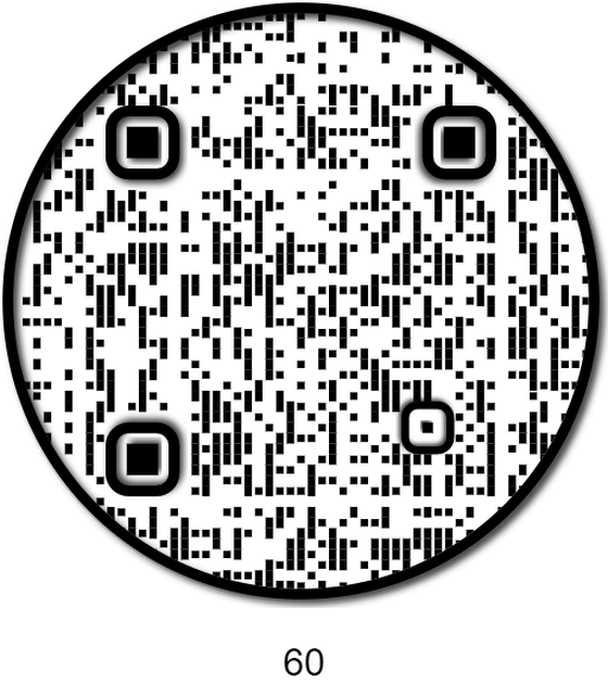 APE QR #60