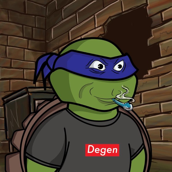 Degen Ninja Turtle #980