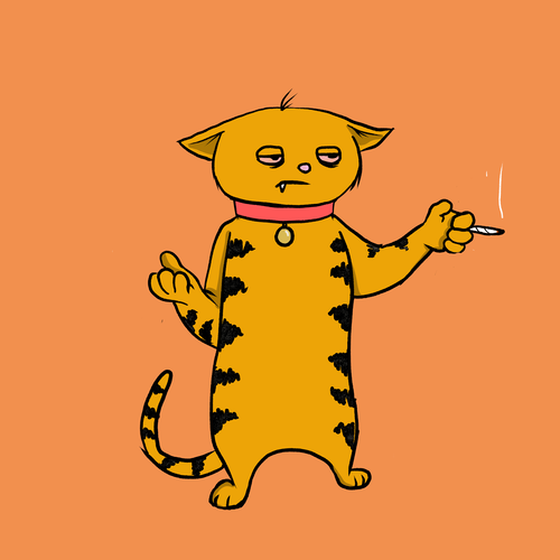 Blazed Cat #7214