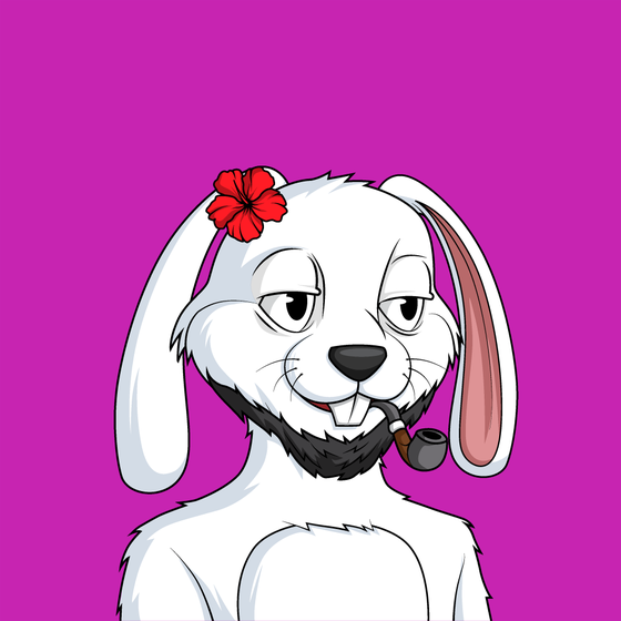 bunny #4080