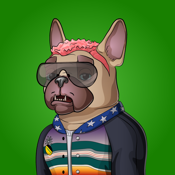 Bohemian Bulldog #6819