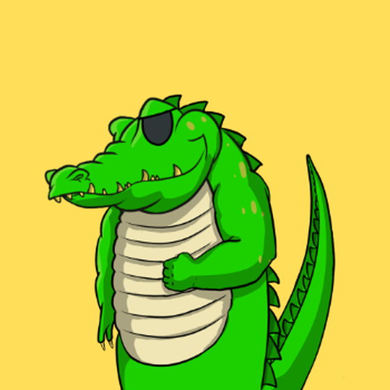 Croc #165