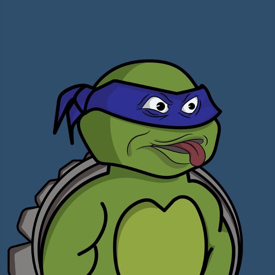 Degen Ninja Turtle #4512