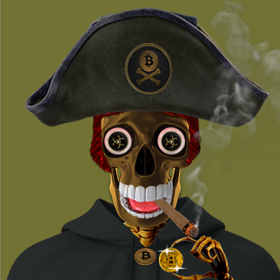 Blockchain Pirate #3483